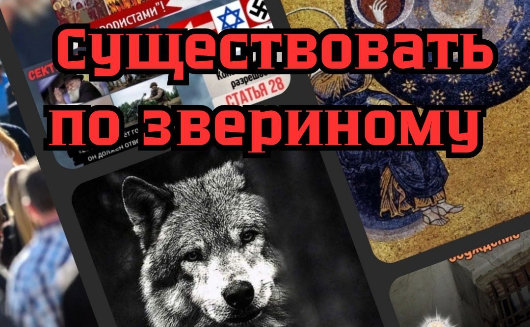 СУЩЕСТВОВАТЬ ПО-ЗВЕРИНОМУ или жить как духовная&nbsp;личность?