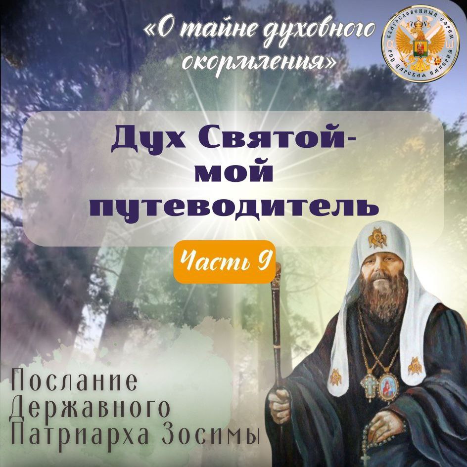 О тайне духовного окормления. Дух Святой — мой Путеводитель. Часть 9.(видео,&nbsp;статья)