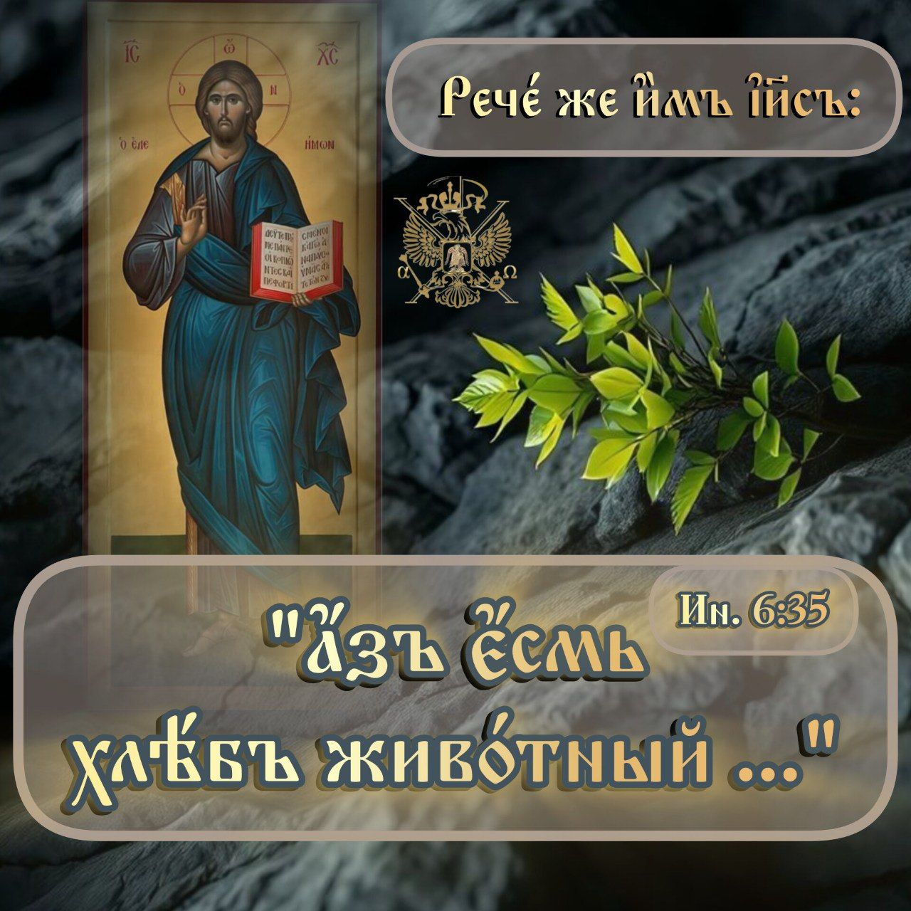 Все, что связано с Господом нашим Иисусом Христом, является великим и неповторимым превосходством, которое так сильно ненавидят дьяволопoклонники иyдeи.