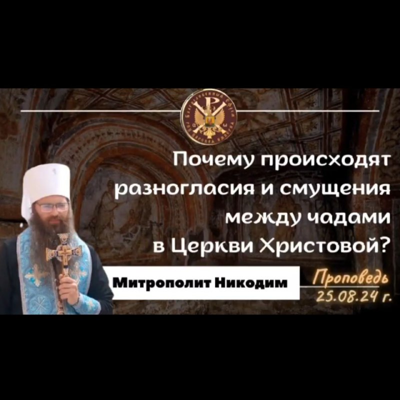 Почему происходят разногласия и смущения между чадами в Церкви Христовой? Митрополит&nbsp;Никодим